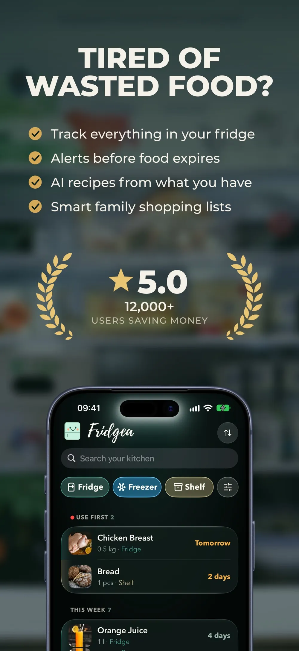 Fridgea screenshot 1