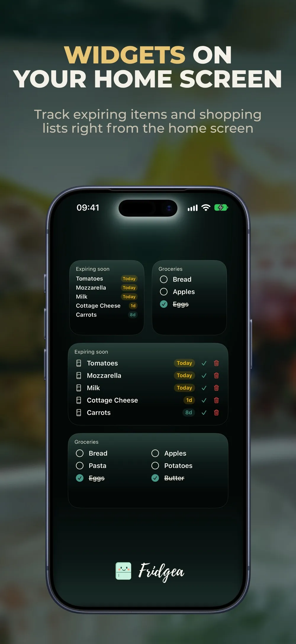 Fridgea screenshot 6